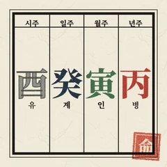 내 사주 오행 보기 아이콘